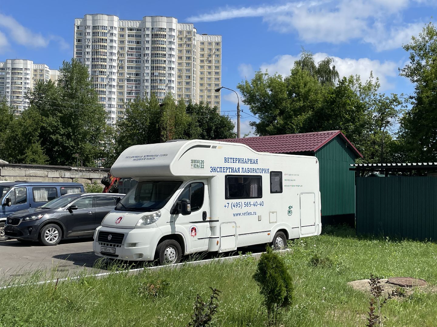 Ветеринария, Люберцы, животные, помощь