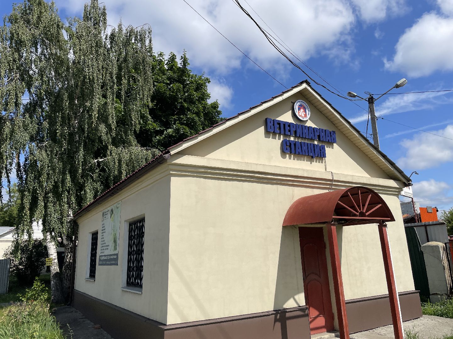 Ветеринария, Люберцы, животные, помощь