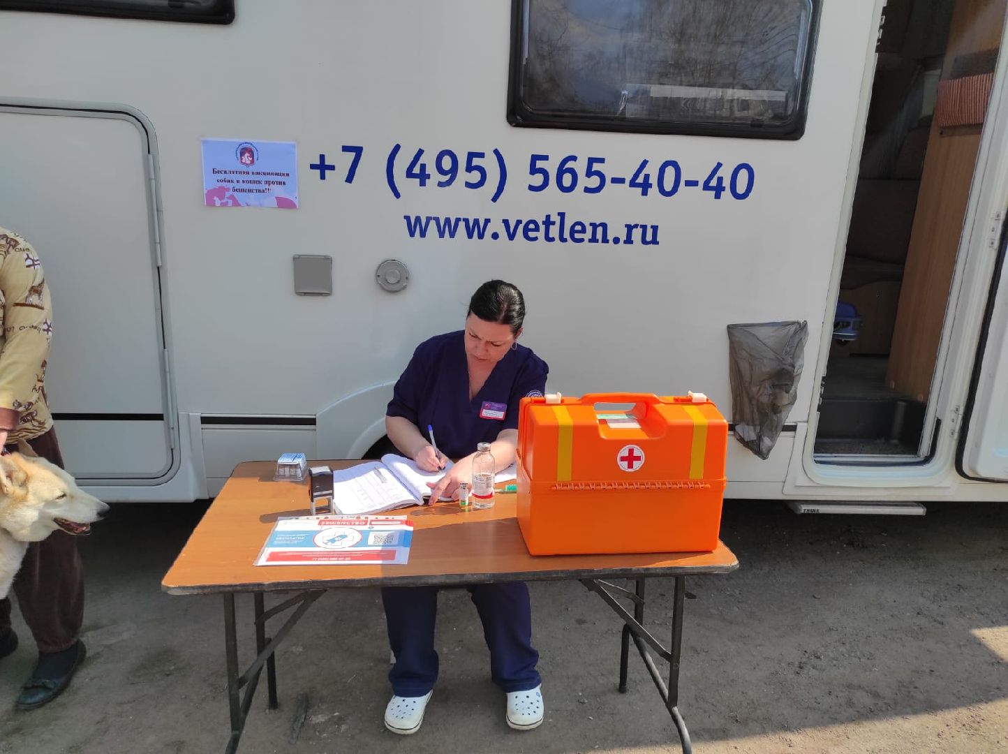 Ветеринария, Люберцы, животные, помощь