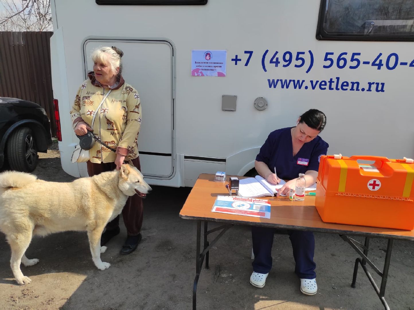 Ветеринария, Люберцы, животные, помощь