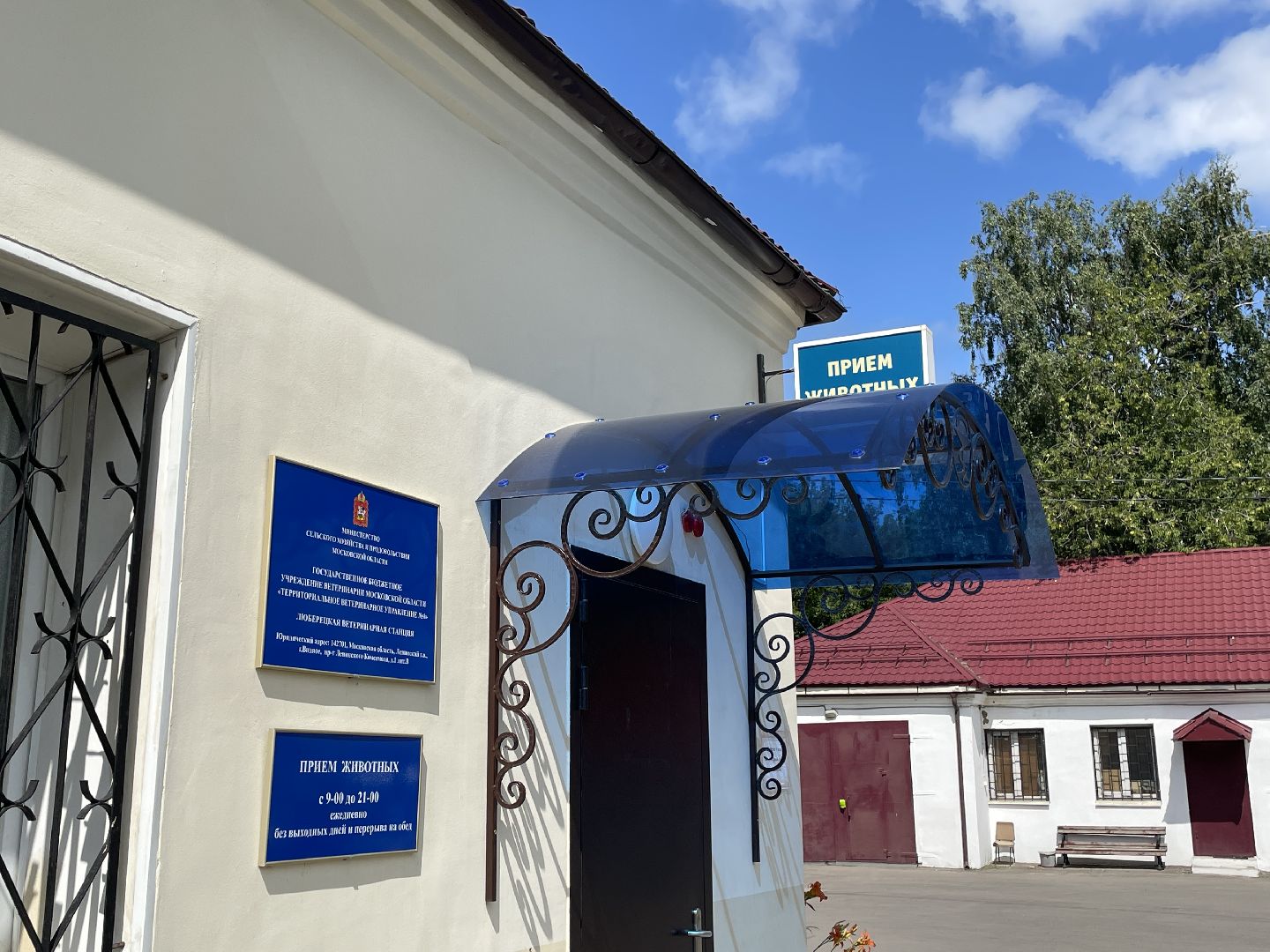 Ветеринария, Люберцы, животные, помощь