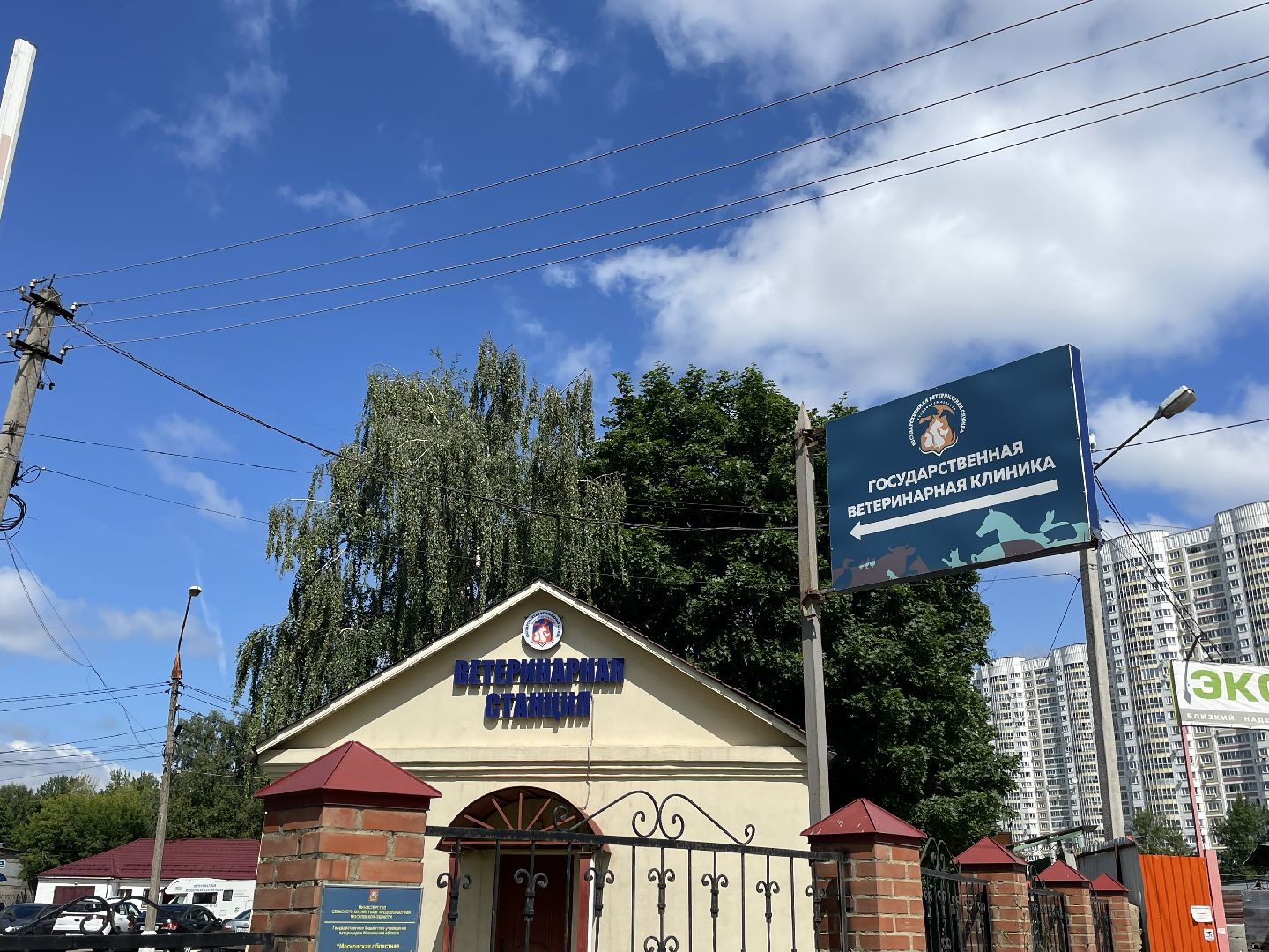 Ветеринария, Люберцы, животные, помощь