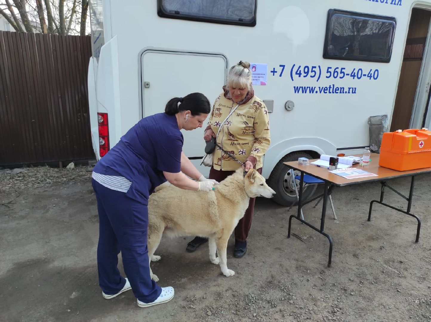 Ветеринария, Люберцы, животные, помощь