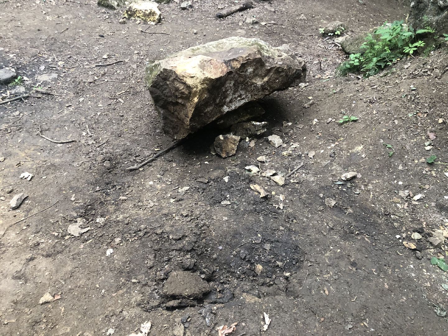 Рузский округ, альпинист, спасатели, происшествие, мособлпожспас,