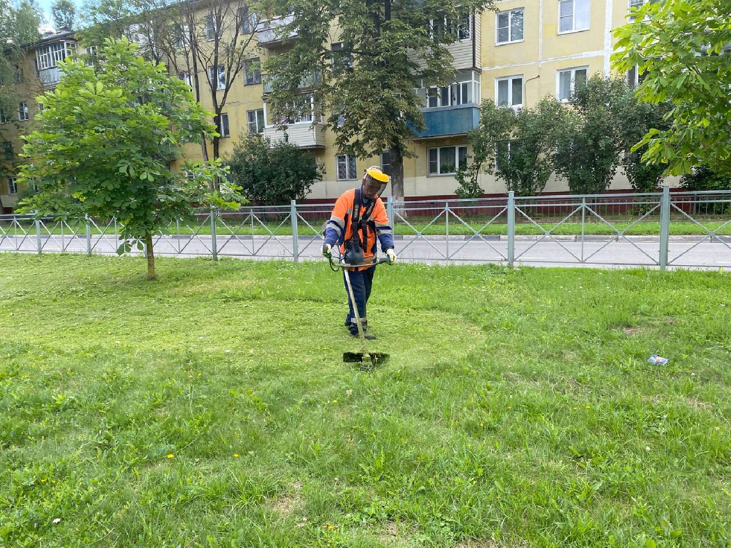 Чехов, благоустройство, трава, покос, город