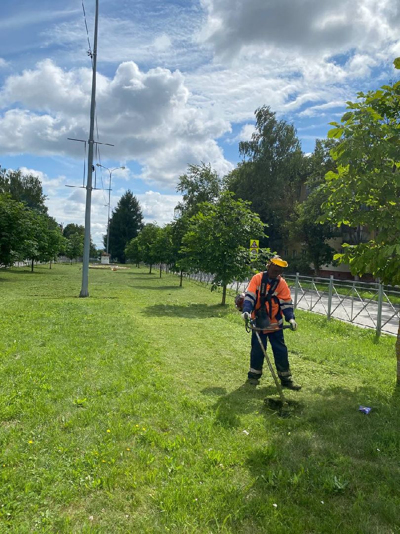 Чехов, благоустройство, трава, покос, город