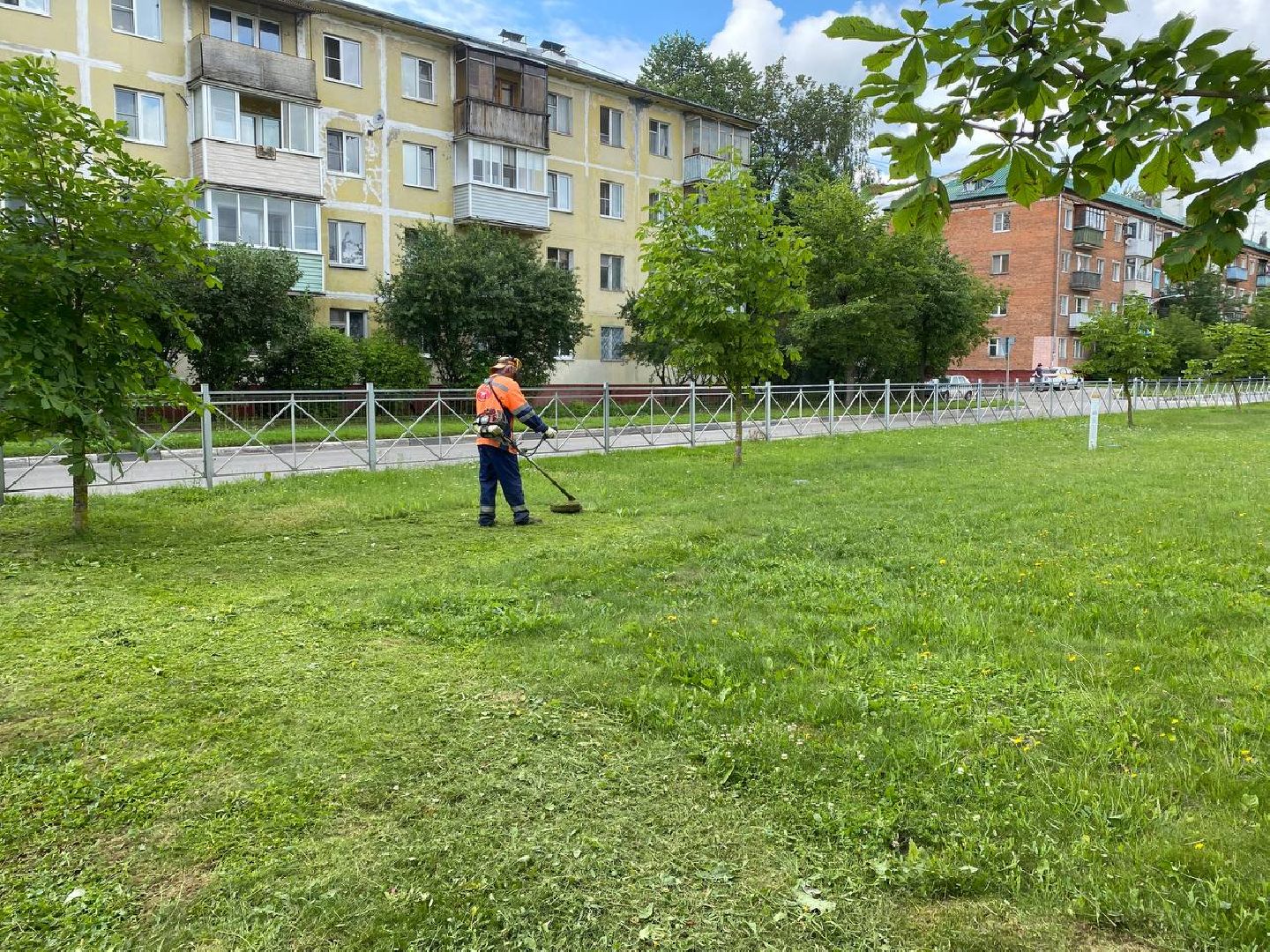 Чехов, благоустройство, трава, покос, город