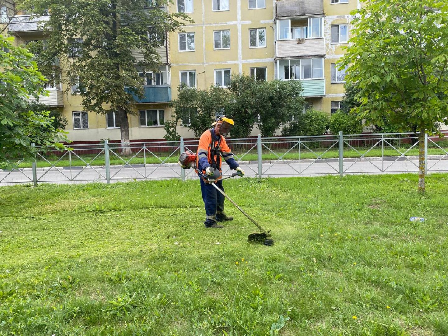 Чехов, благоустройство, трава, покос, город