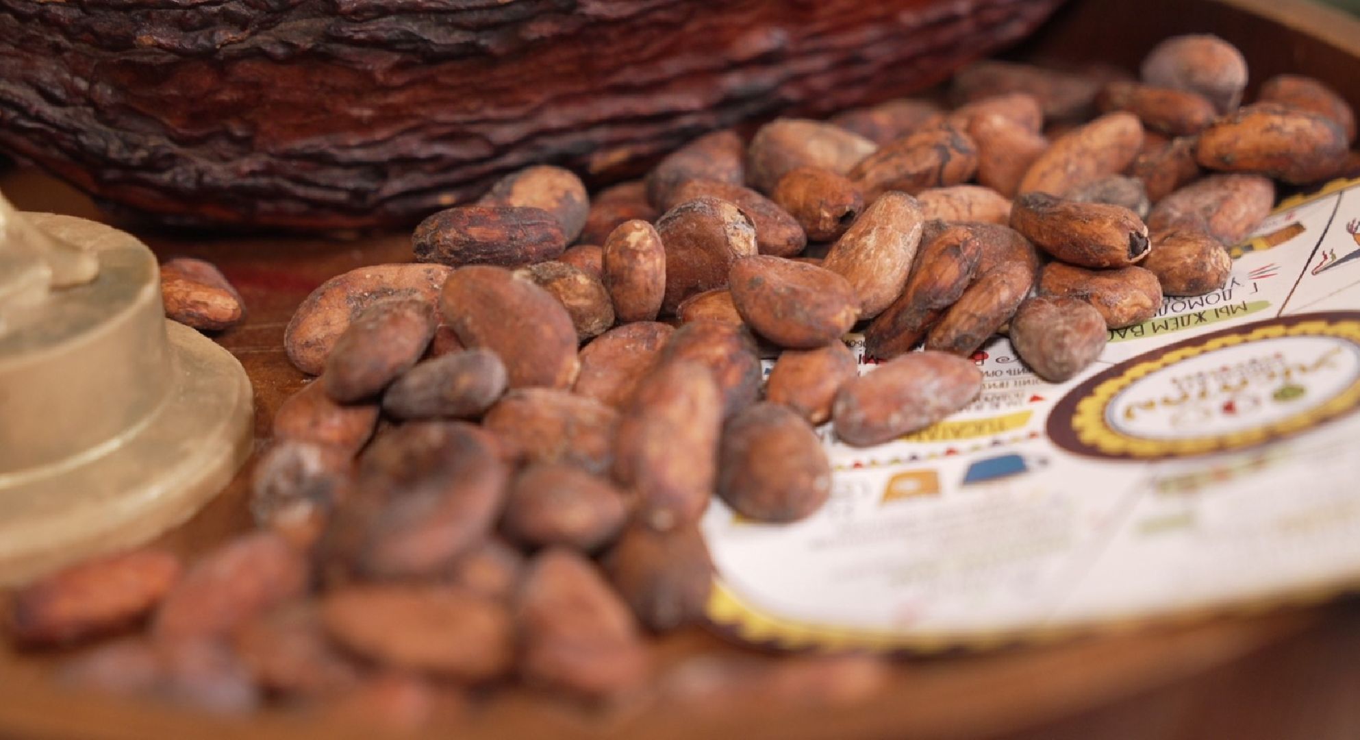 День шоколада, Домодедово