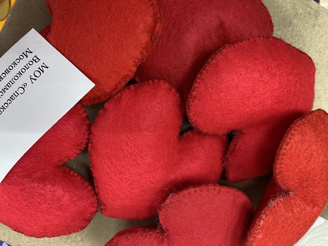 Волоколамск, талисман, талисман добра, школы, дети, Доброе дело, волонтеры,