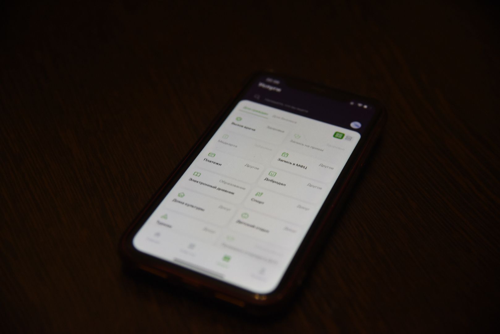 Химки, портал, Добродел, пользователи