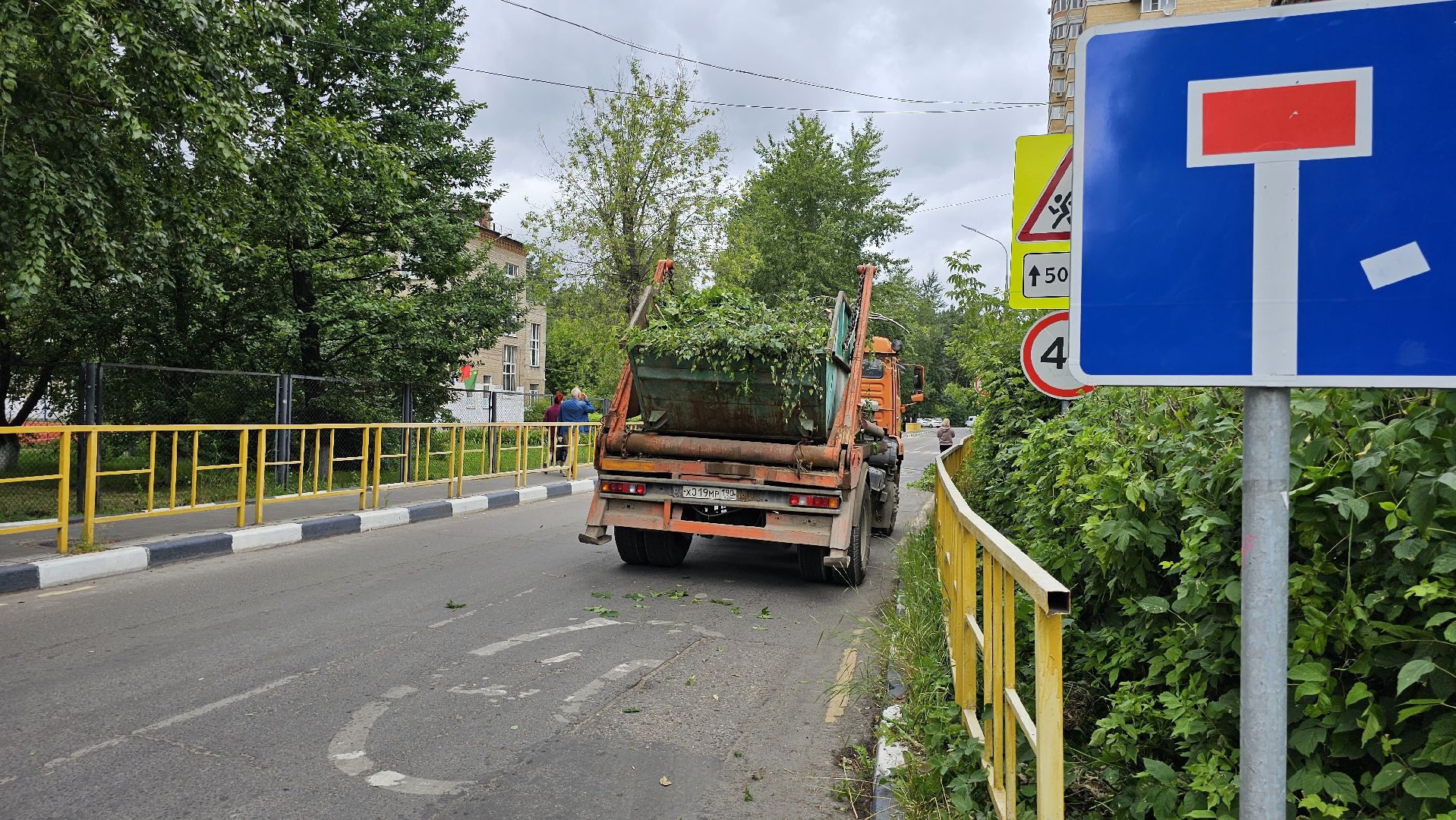 благоустройство, опиловка кустов, Котельники