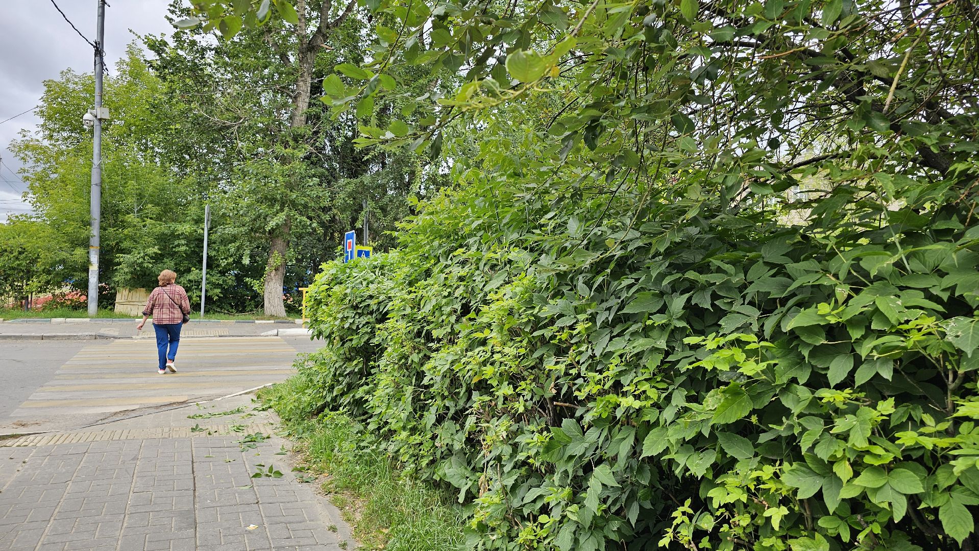 благоустройство, опиловка кустов, Котельники