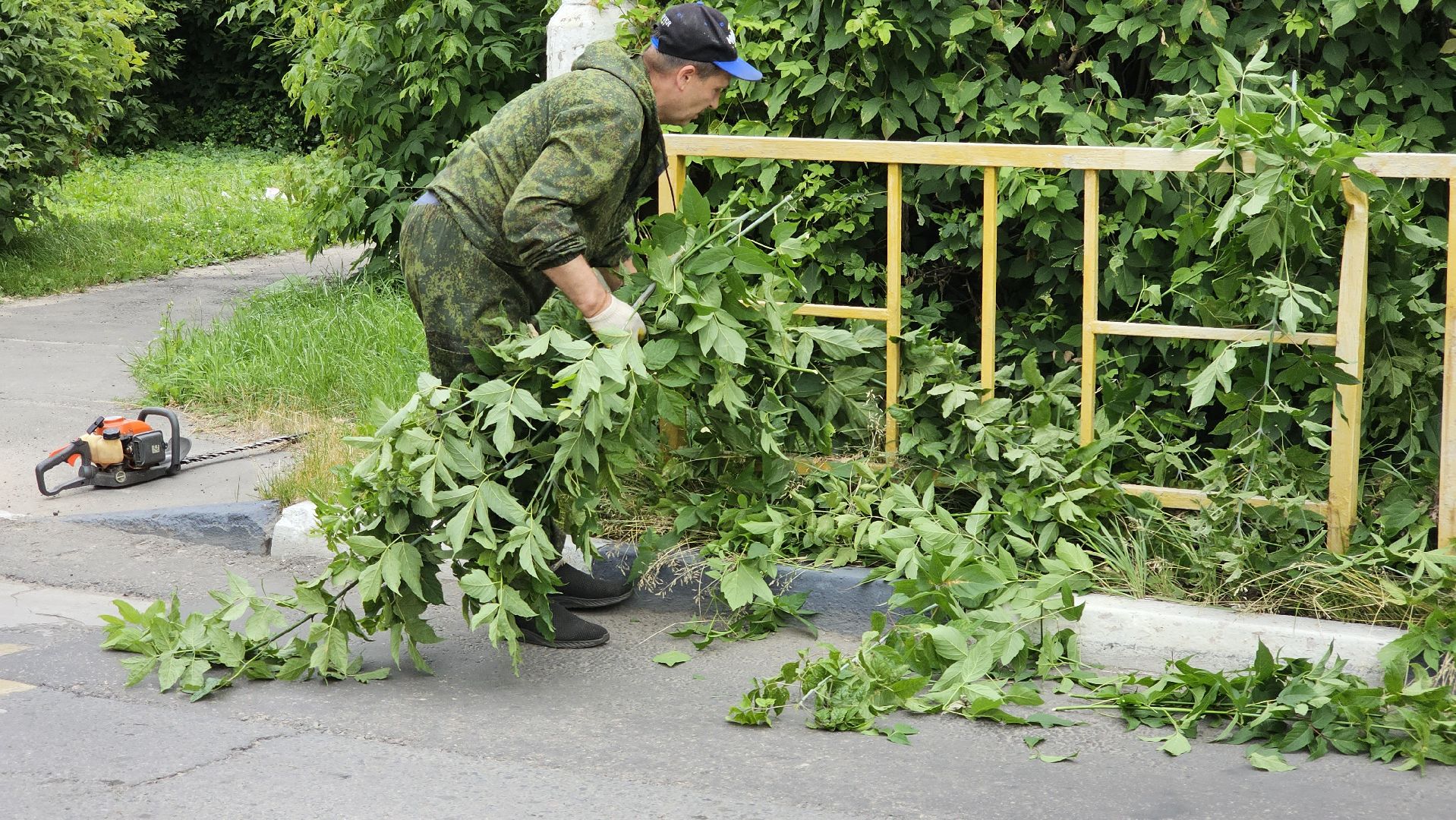 благоустройство, опиловка кустов, Котельники