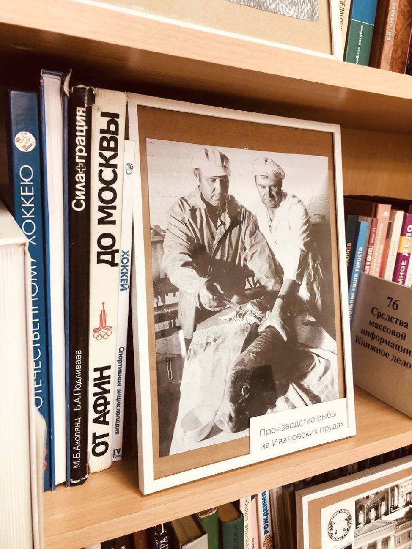 Домодедово, ретро выставка, старинные фотографии, архивные фотографии, история округа