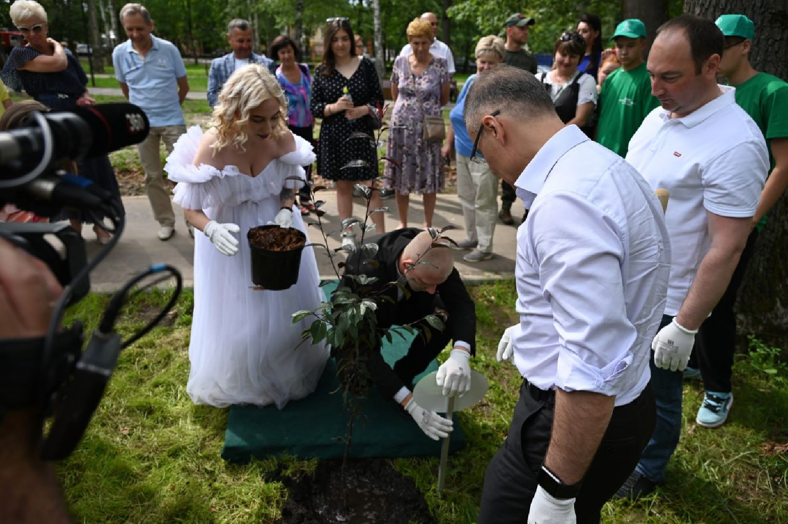 Ступино, парк Островского, аллея молодоженов