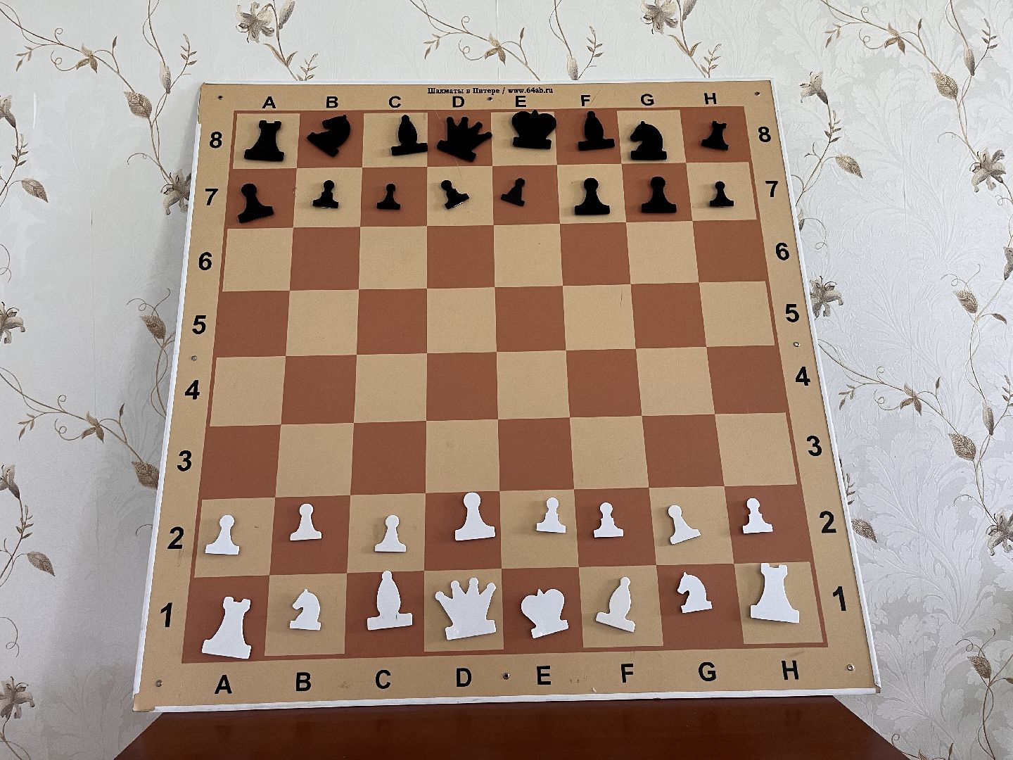 Шаховская, шахматы, Коновалово, экокомплекс