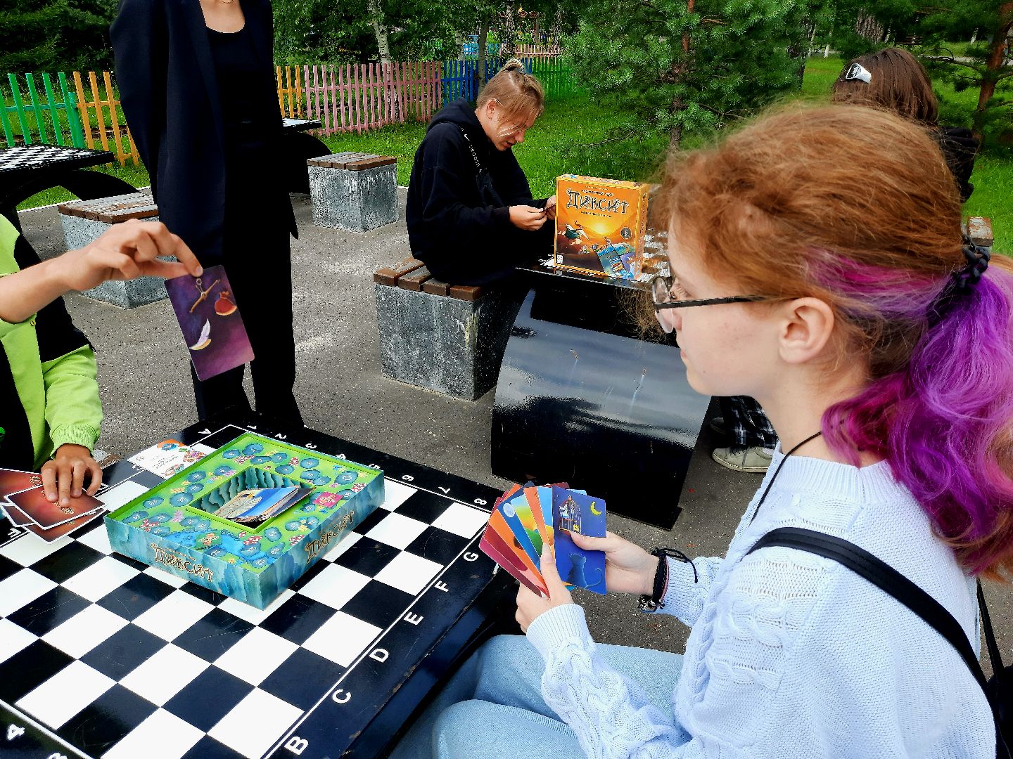 Шатура, библиотека, парк, диксит