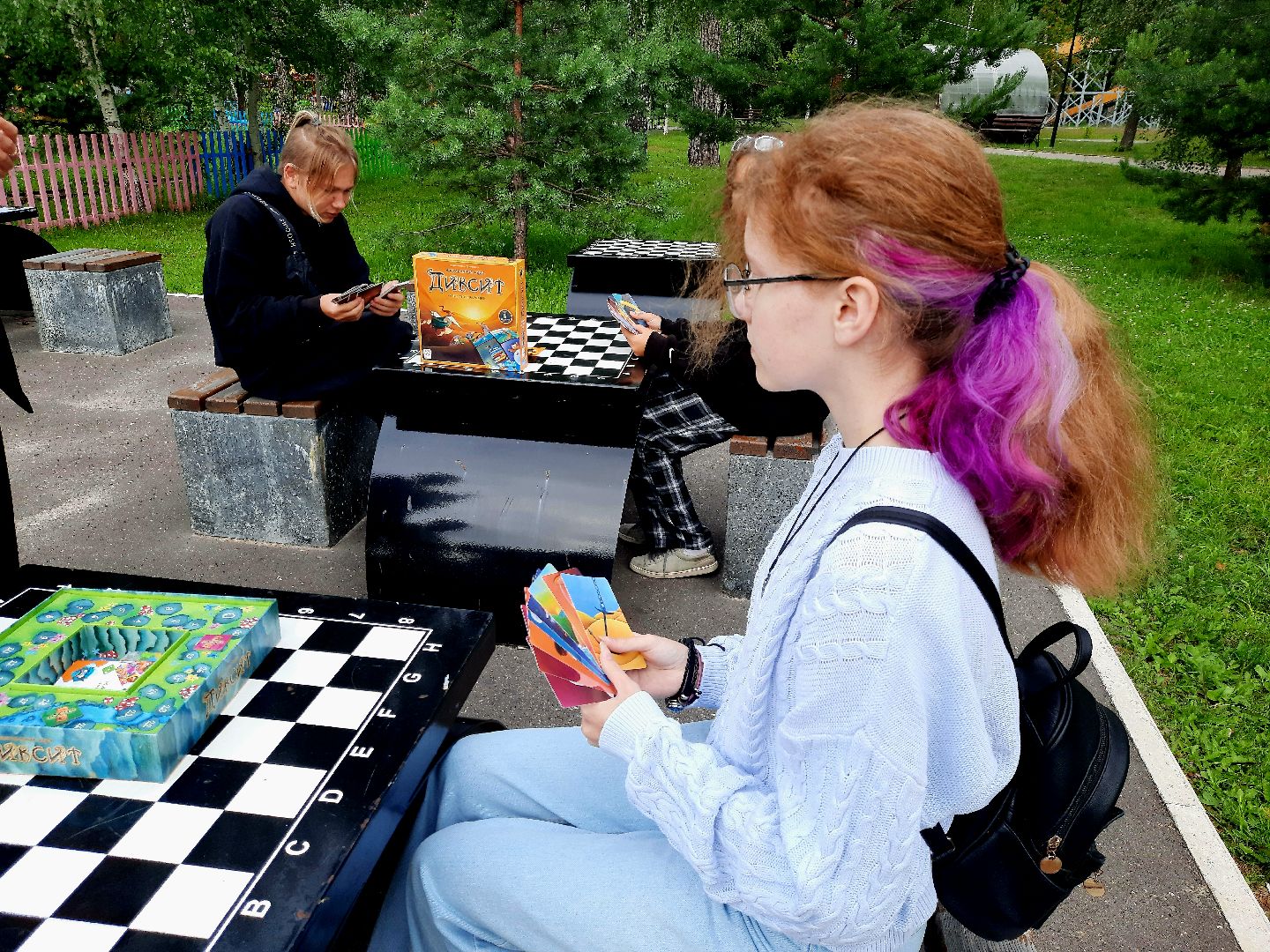 Шатура, библиотека, парк, диксит