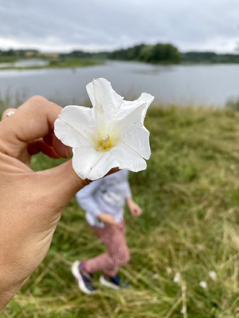 Шаховская, место отдыха, туризм