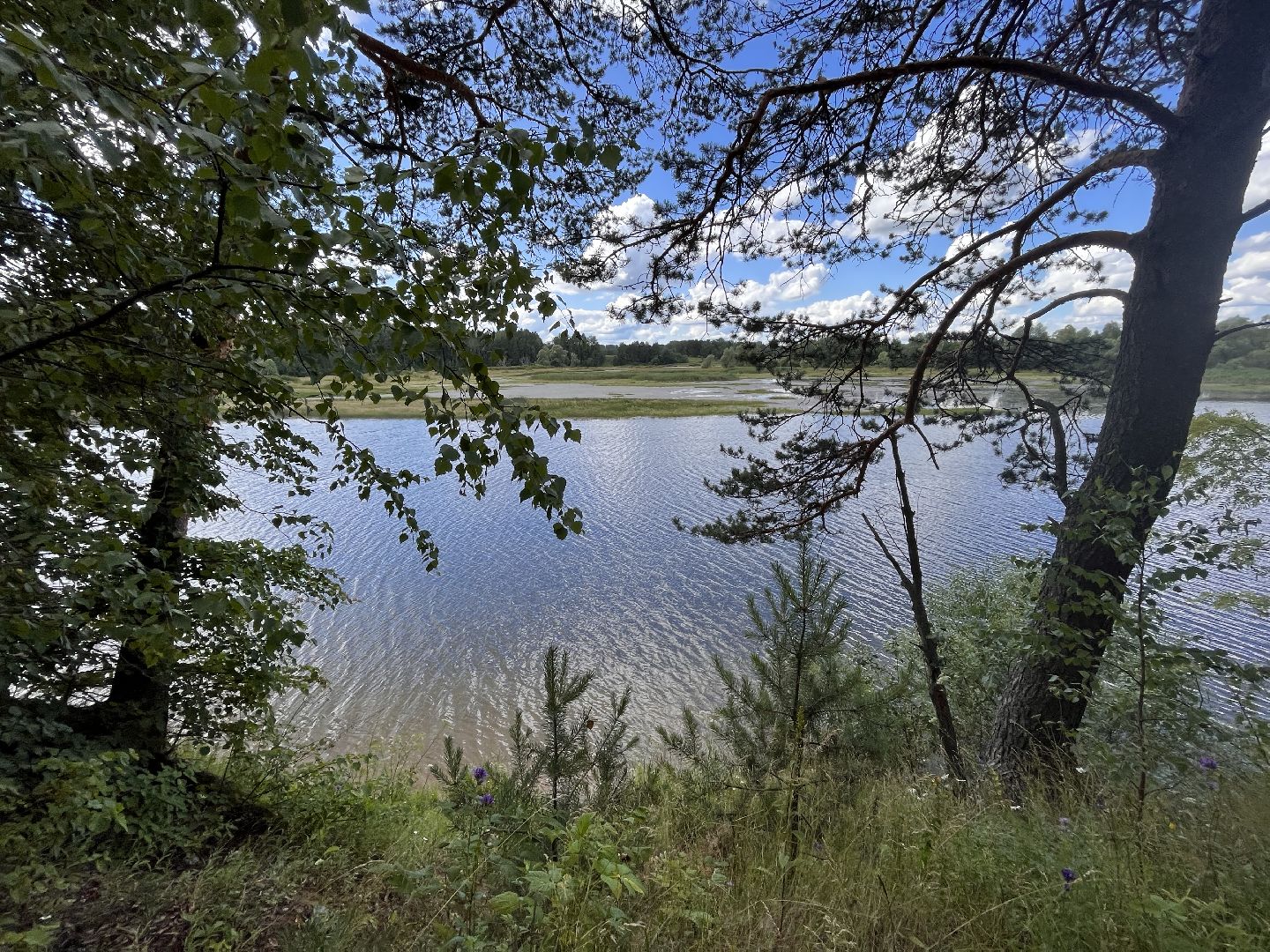 Шаховская, место отдыха, туризм