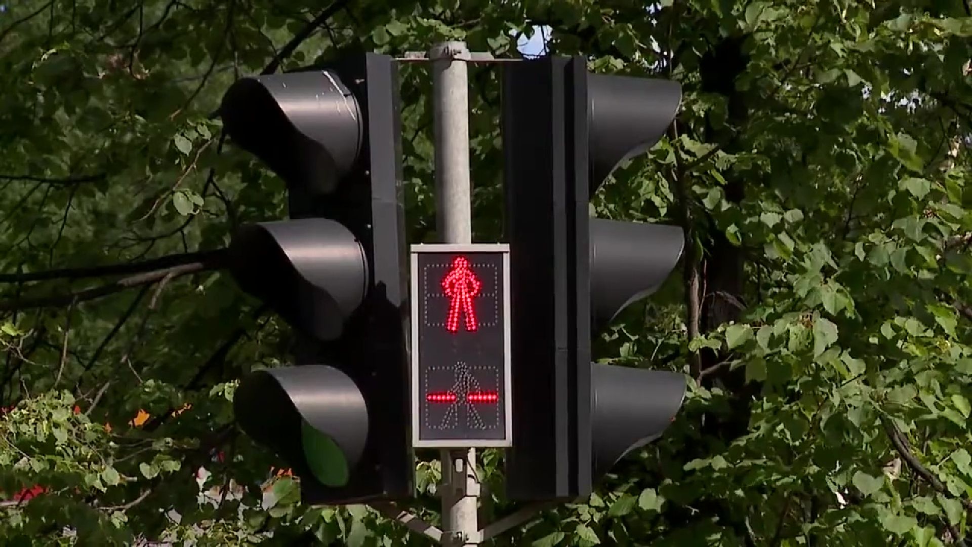 Реутов, Госавтоинспекция, рейд, пешеходы, водители