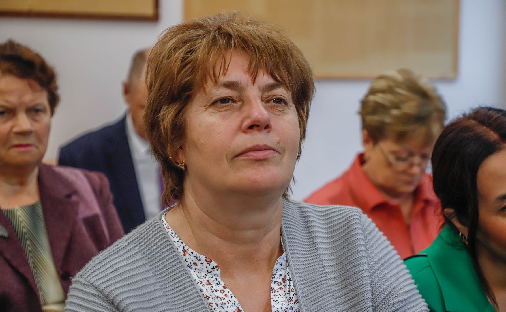 Московская областная дума, Домодедово