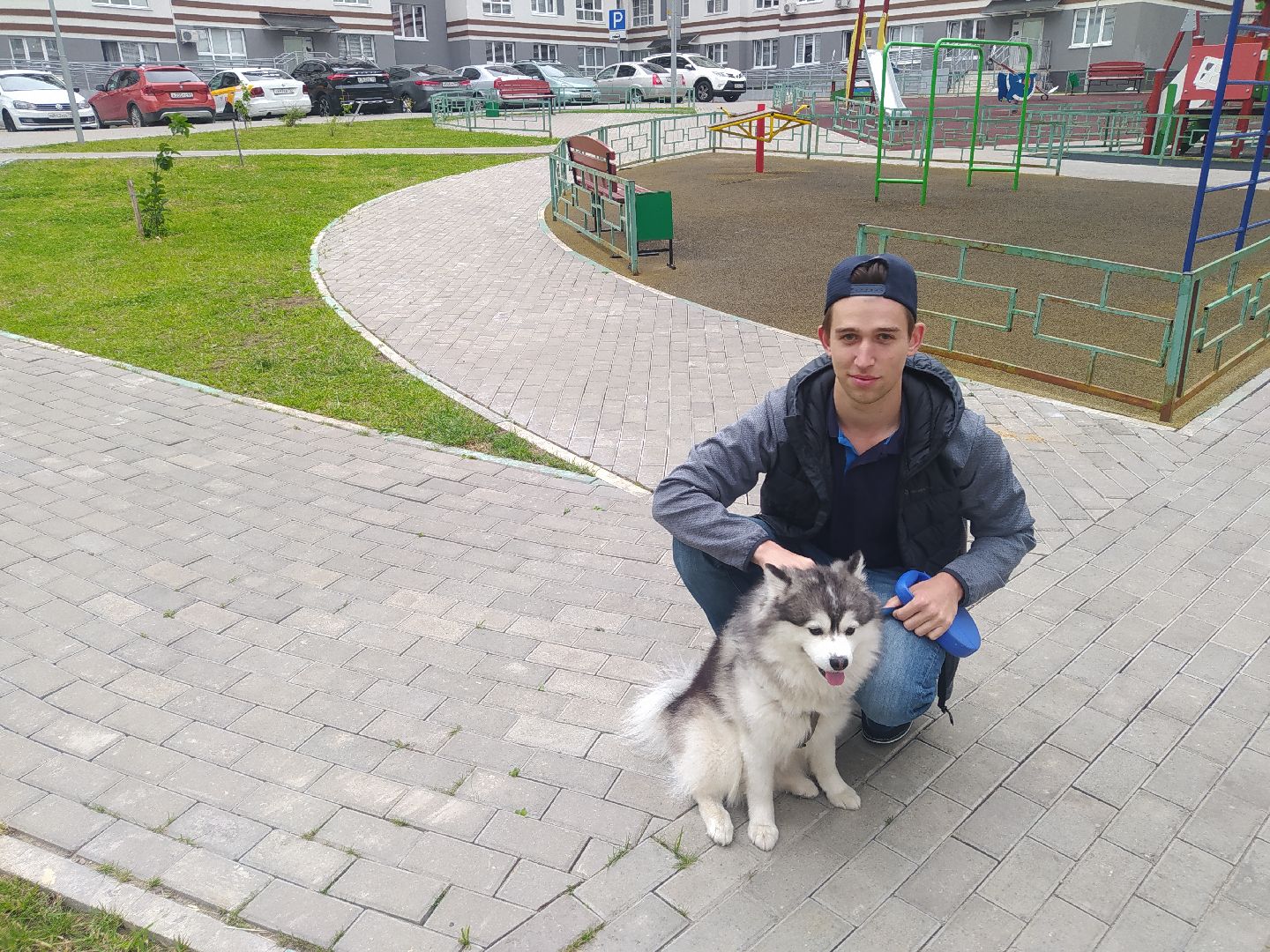 Нахабино, собаки, жара, животные, солнечный удар