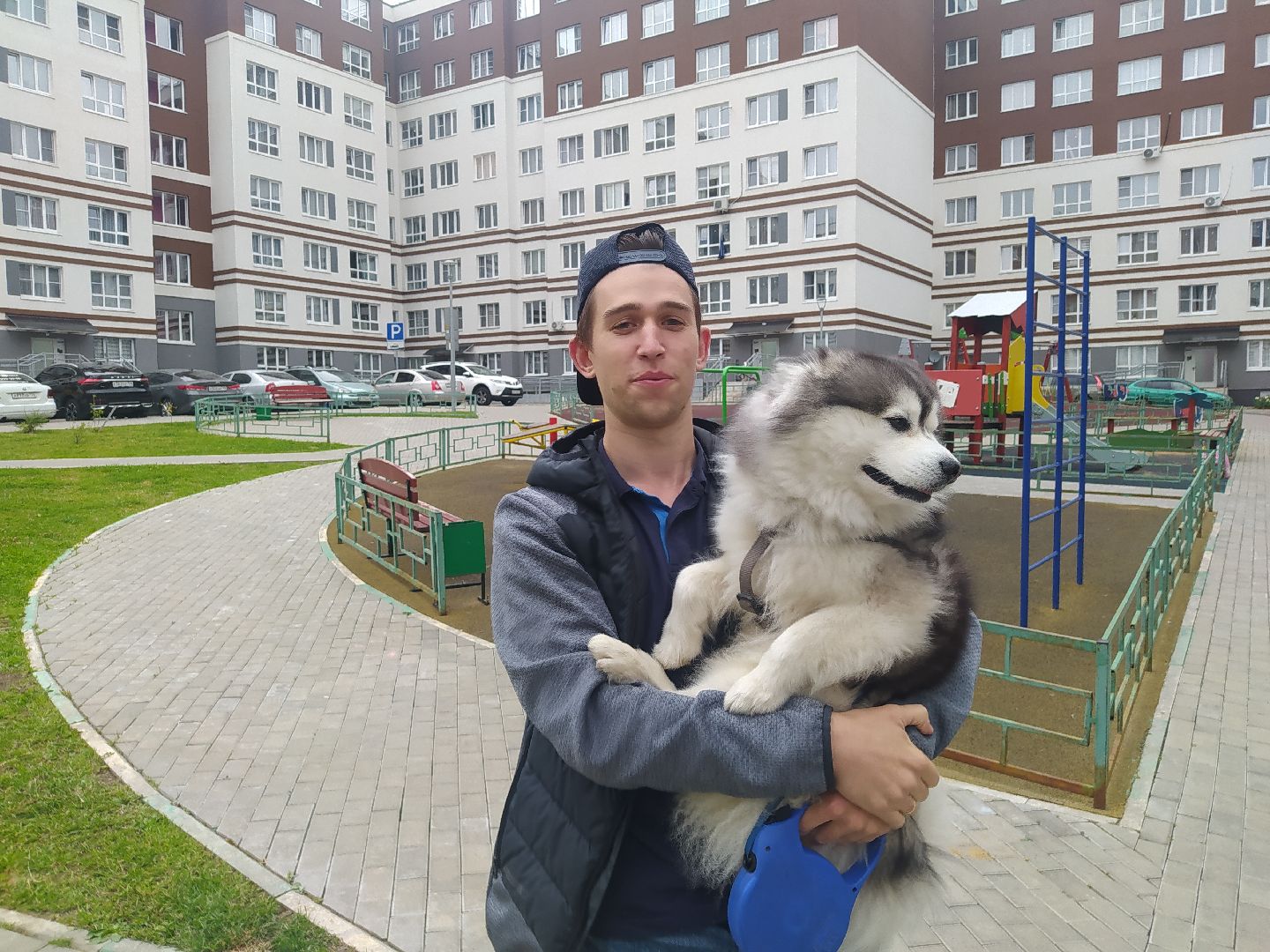 Нахабино, собаки, жара, животные, солнечный удар