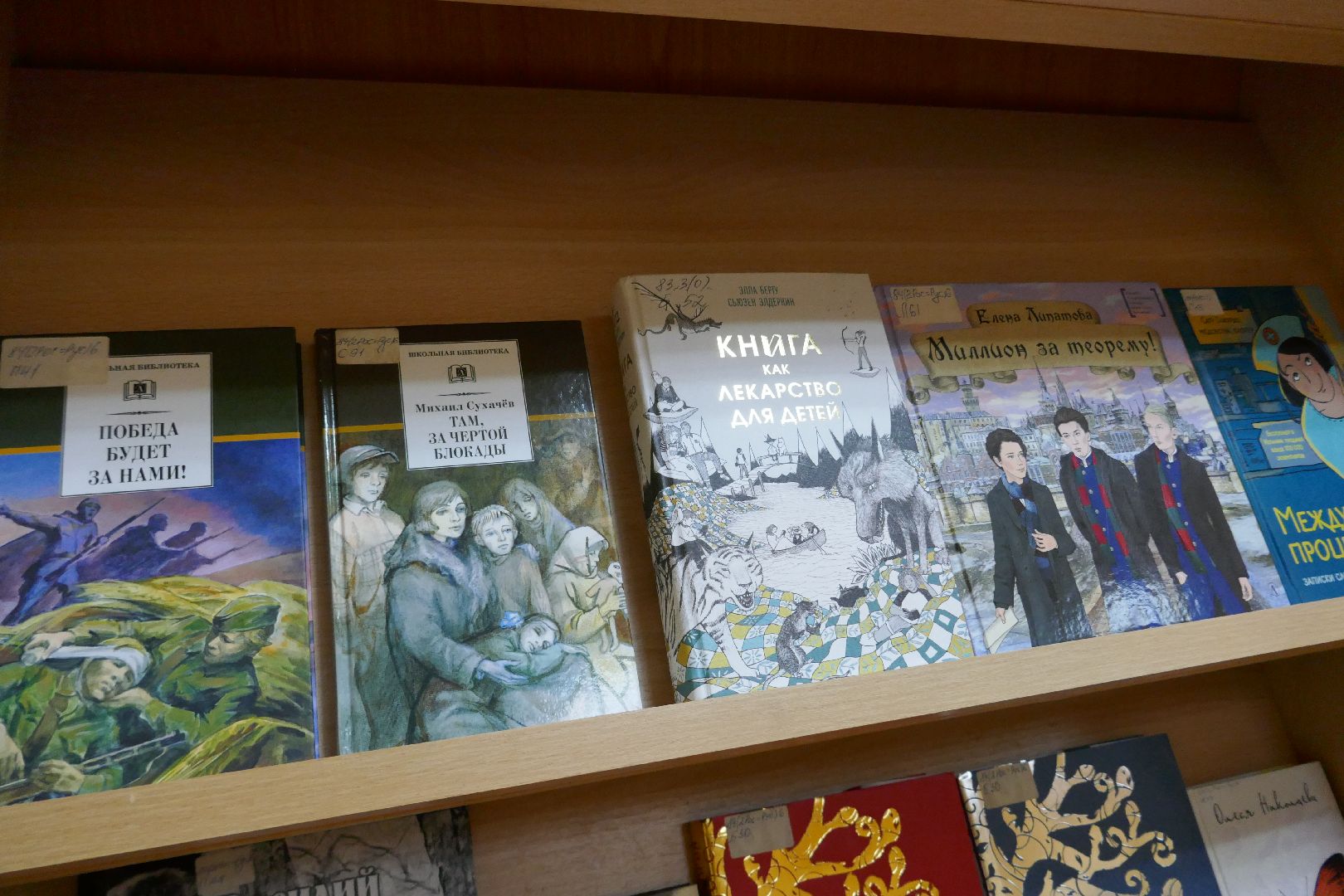 Подольск, культура, чтение, книги, библиотека, нацпроект, транш