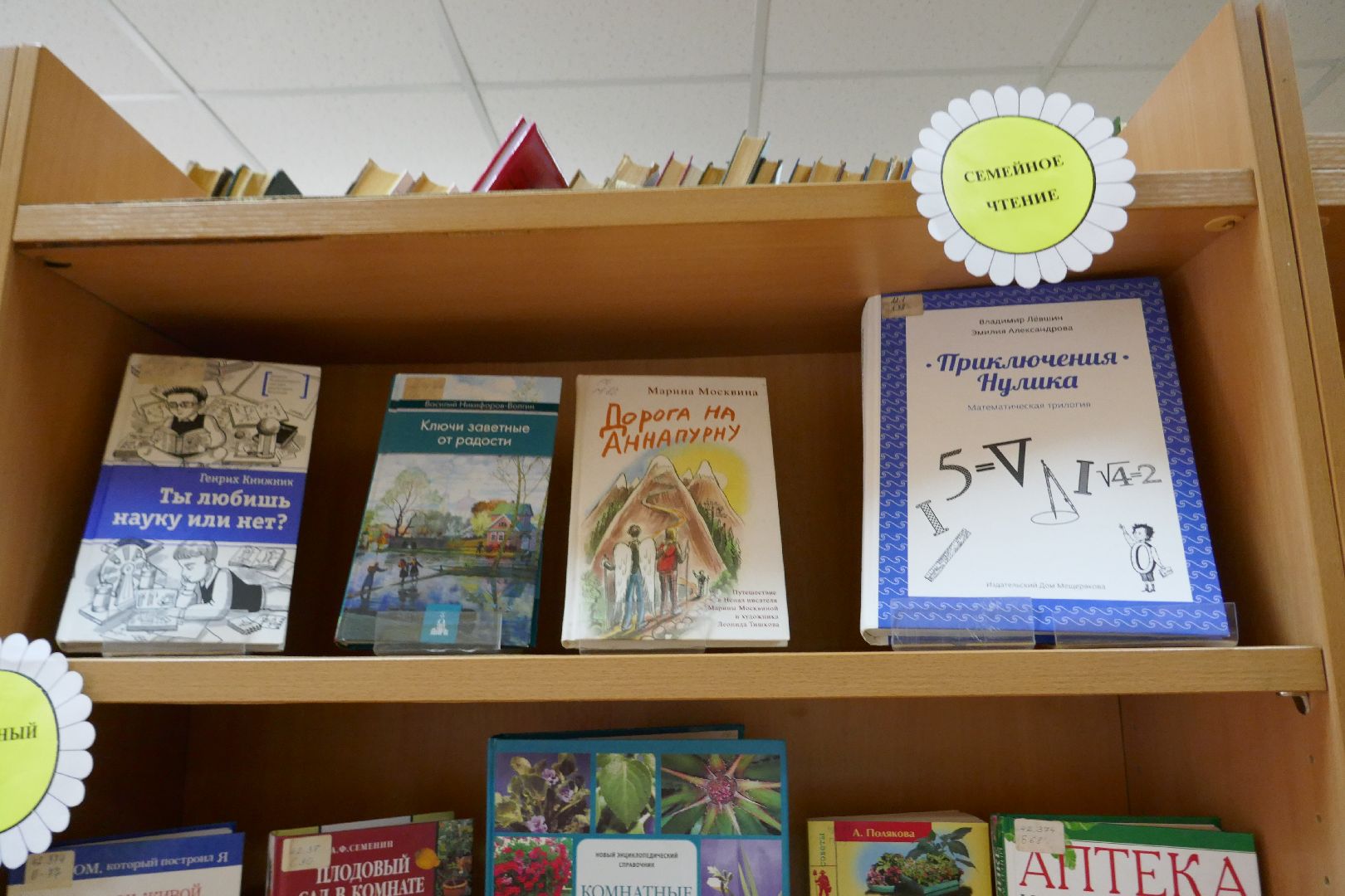 Подольск, культура, чтение, книги, библиотека, нацпроект, транш