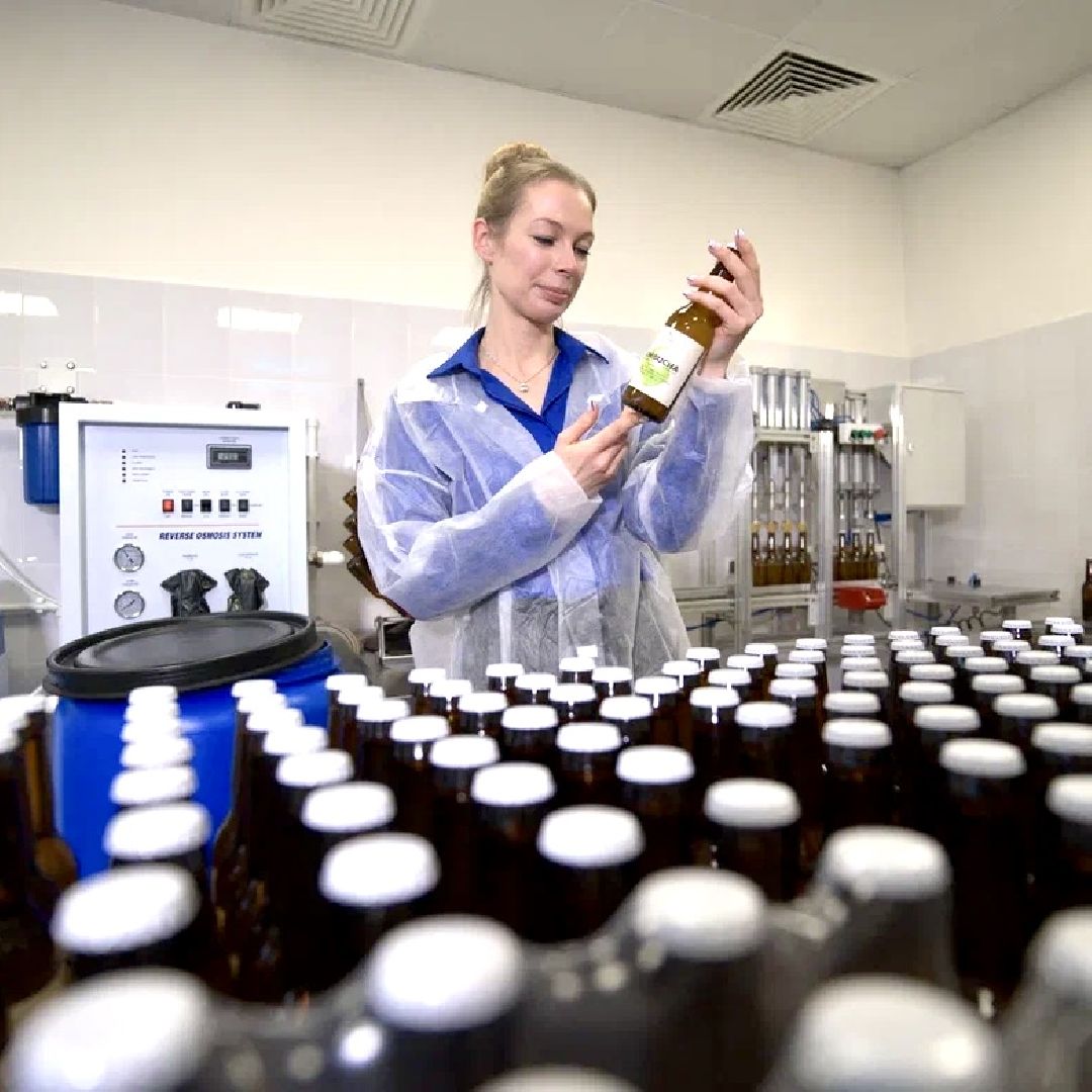 общество, напитки, предпринимательство, Комбучай, Воскресенск, чайный гриб