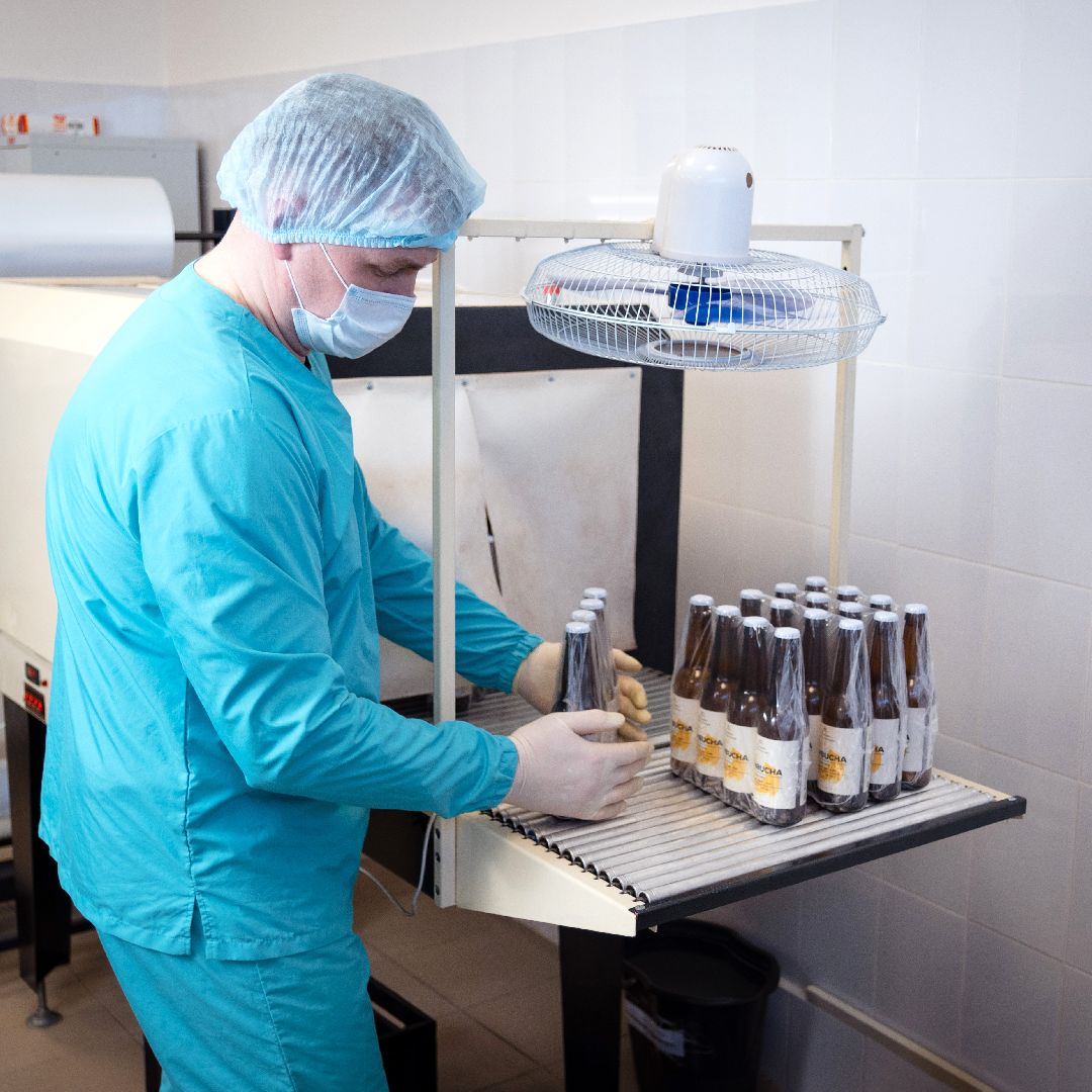 общество, напитки, предпринимательство, Комбучай, Воскресенск, чайный гриб