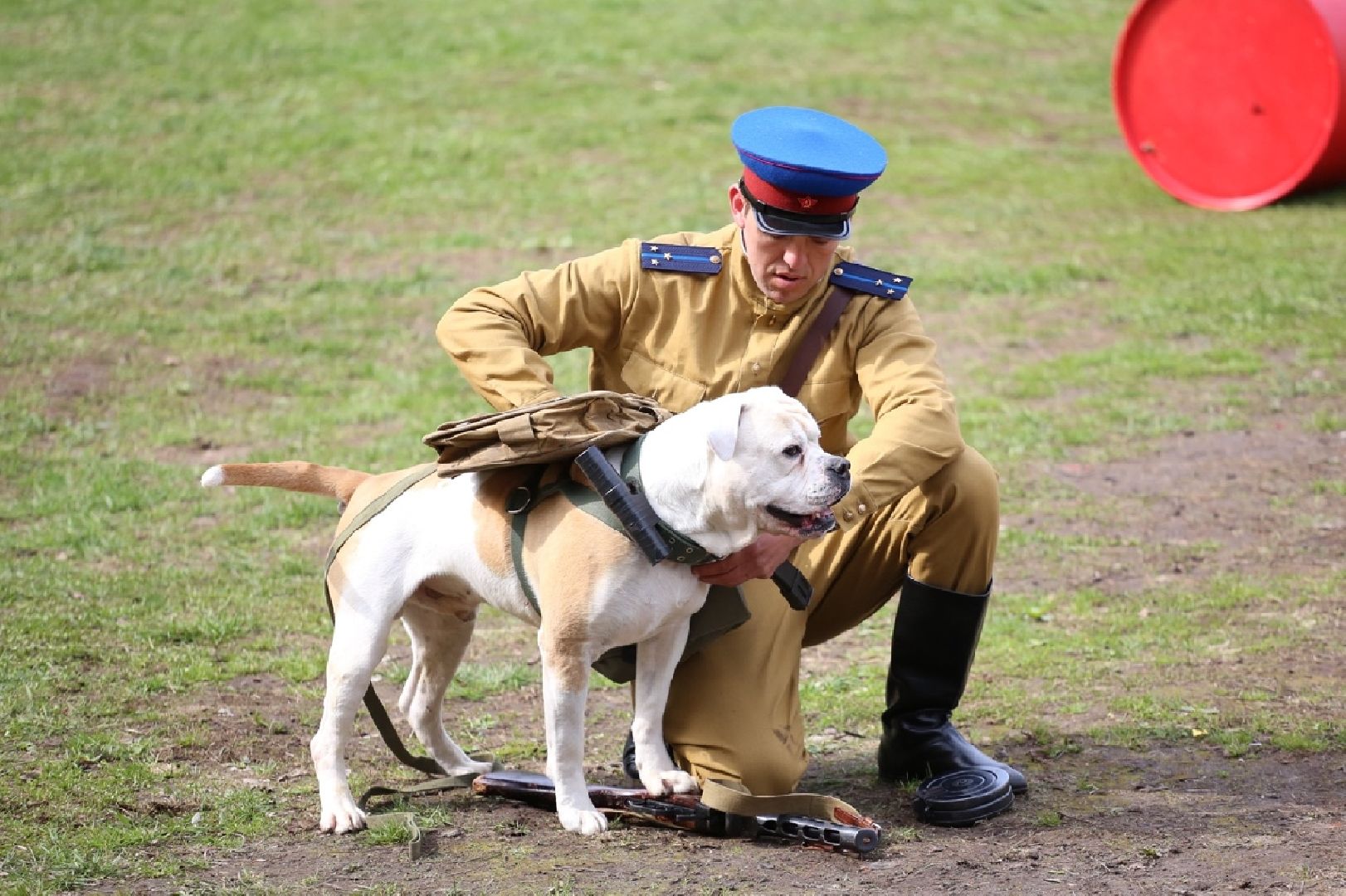 Долгопрудный, фестиваль, кинологи, фронтовая собака, Росгвардия