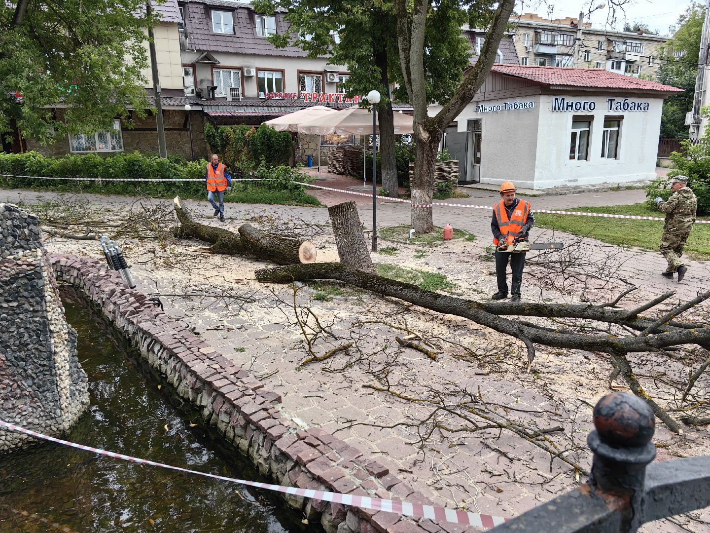 Спил, деревья, сухостои, безопасность