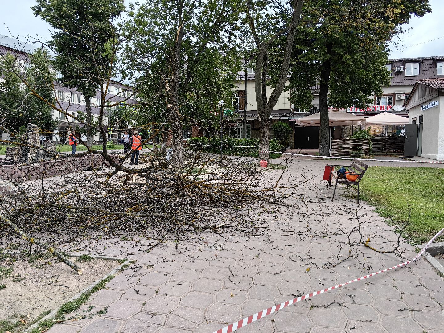 Спил, деревья, сухостои, безопасность