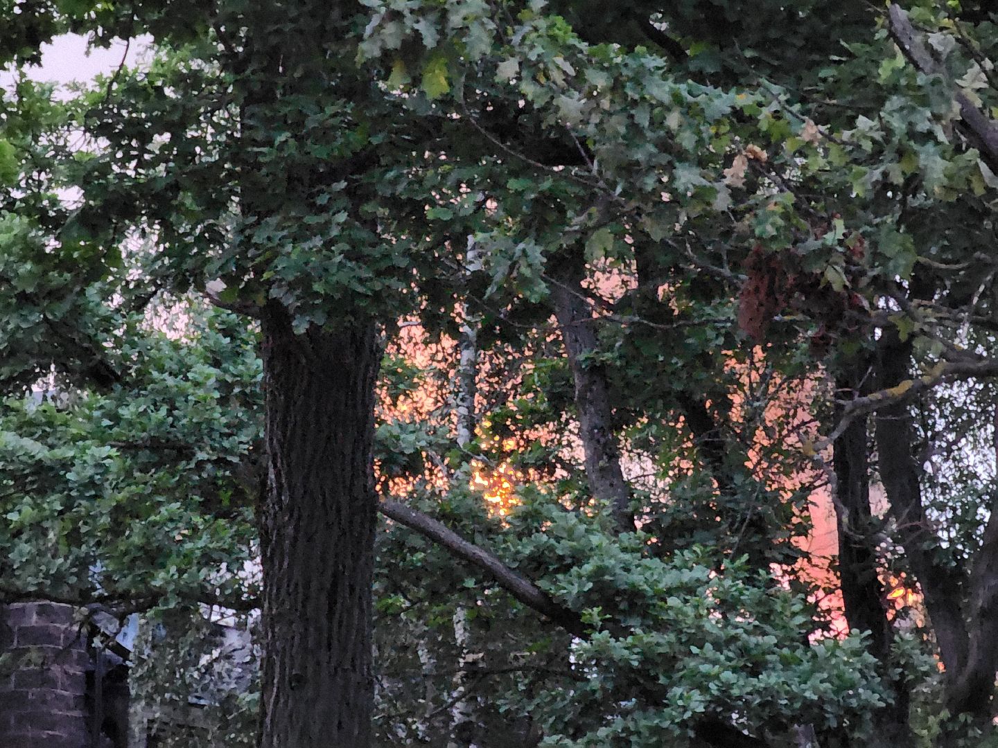 Одинцово, немчиновка, пожар, мчс, отель, спасатели, пожарные,