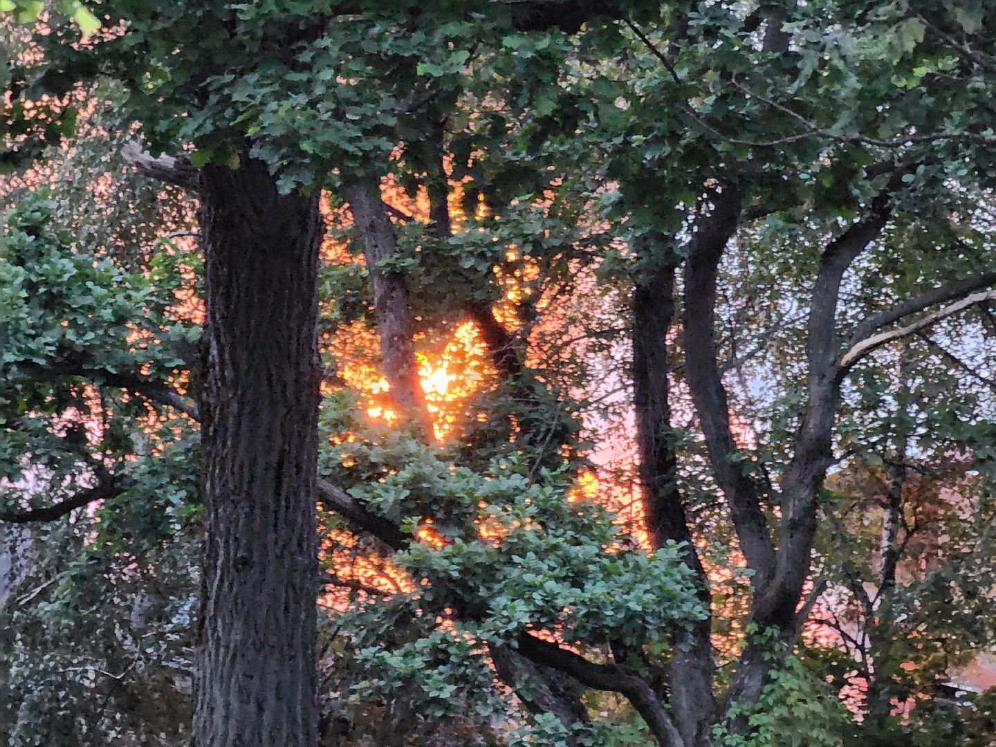 Одинцово, немчиновка, пожар, мчс, отель, спасатели, пожарные,