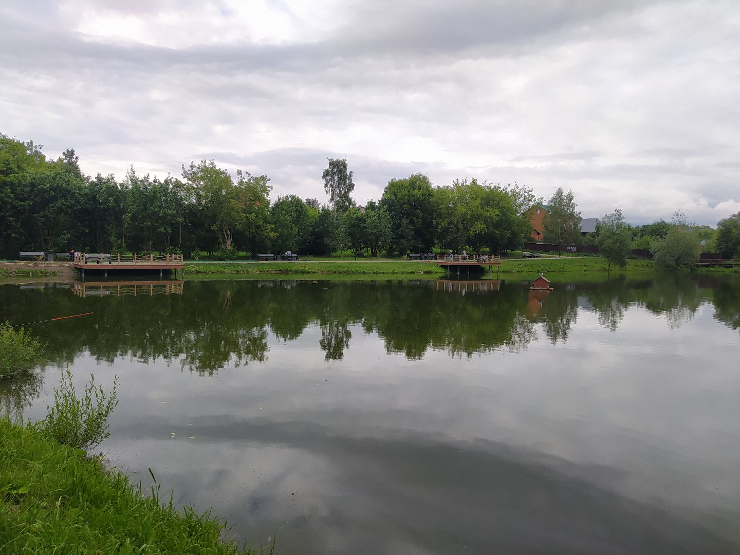 Дедовск, пруд, очистка, экология