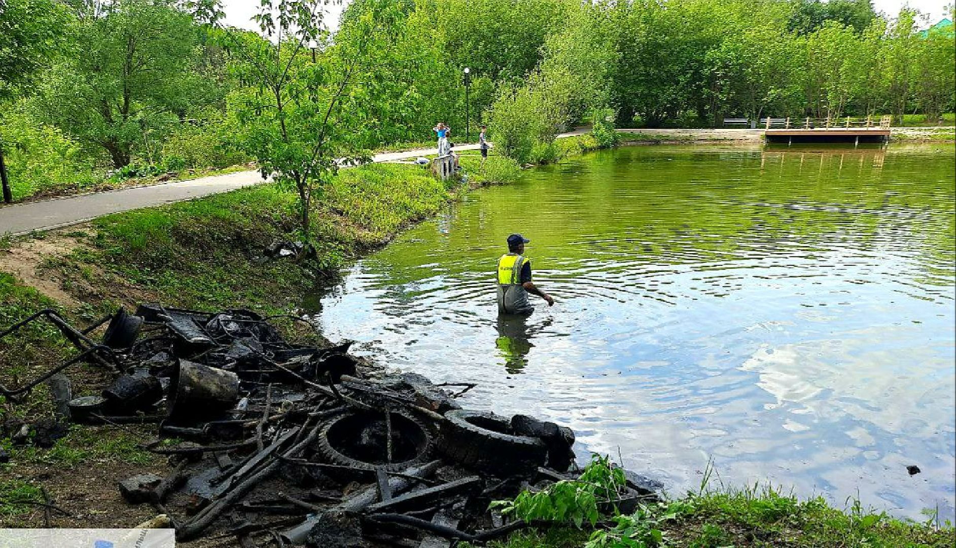 Дедовск, пруд, очистка, экология