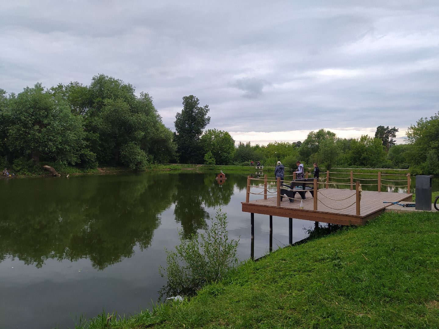 Дедовск, пруд, очистка, экология