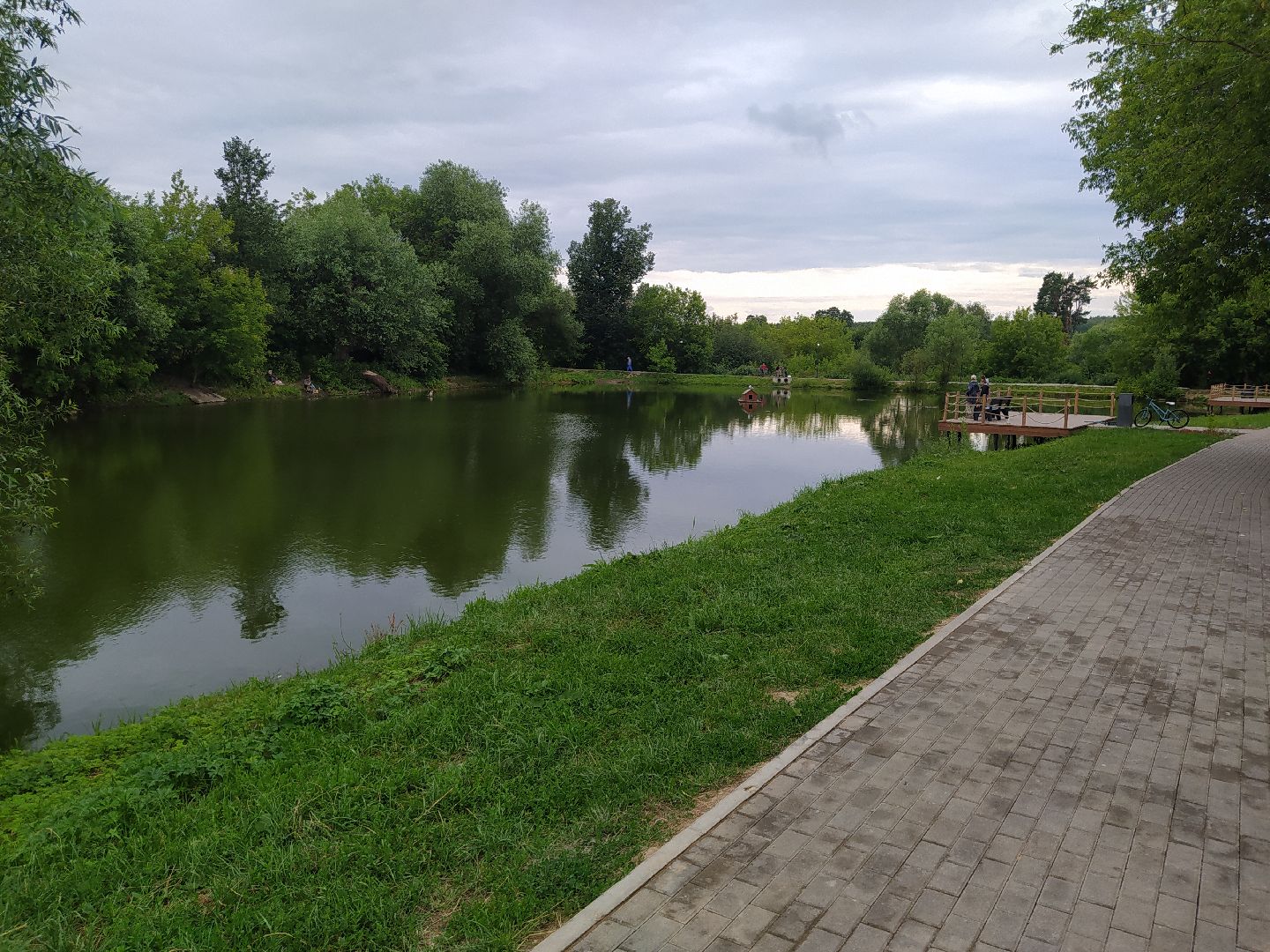 Дедовск, пруд, очистка, экология