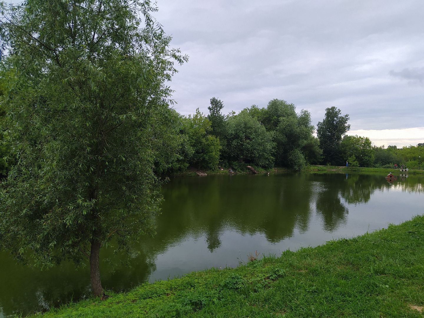 Дедовск, пруд, очистка, экология