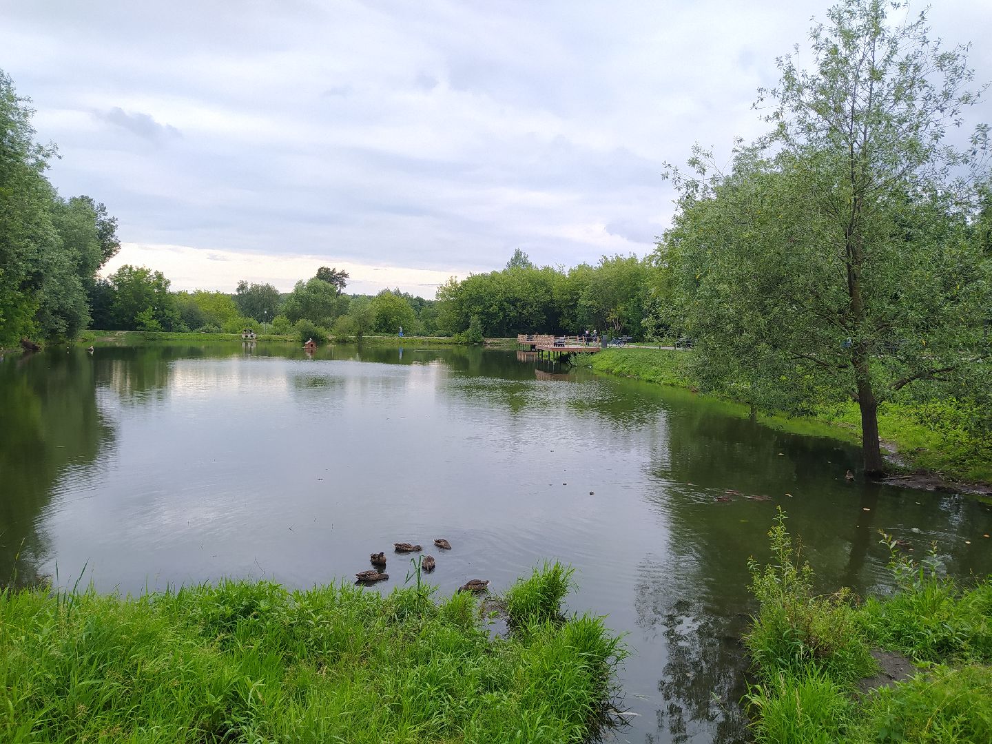 Дедовск, пруд, очистка, экология