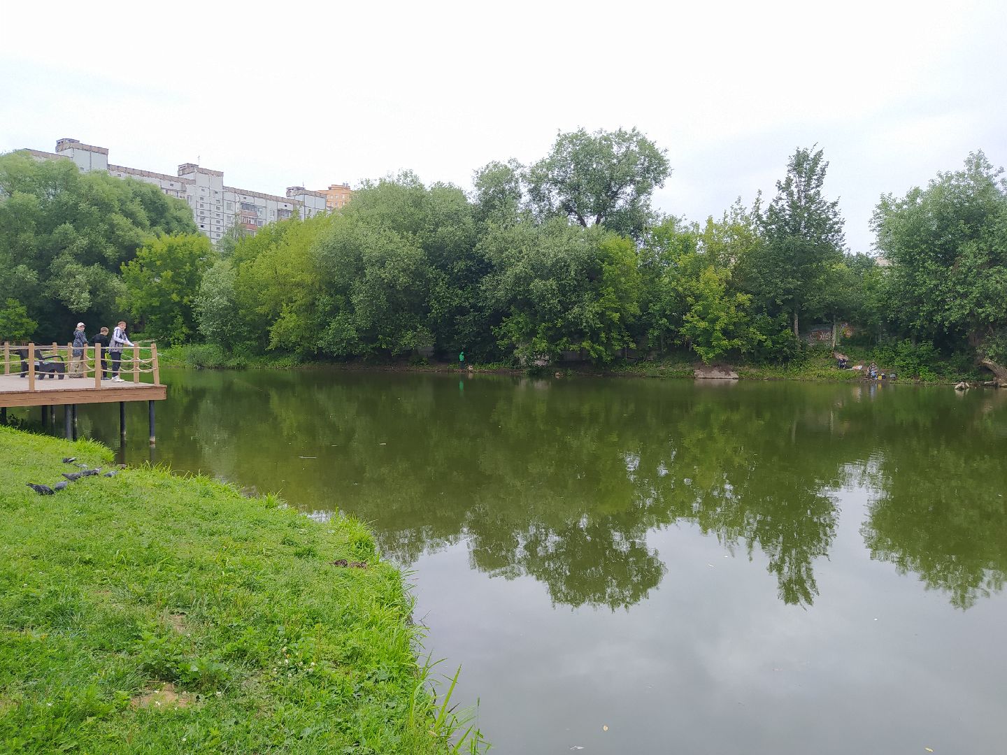 Дедовск, пруд, очистка, экология