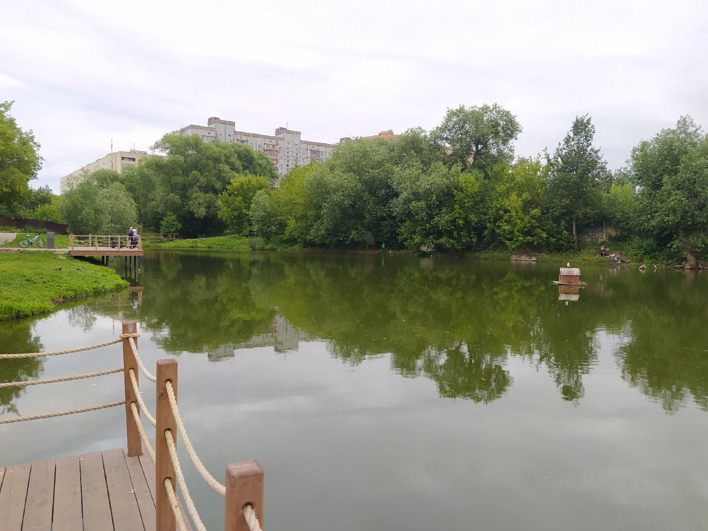 Дедовск, пруд, очистка, экология