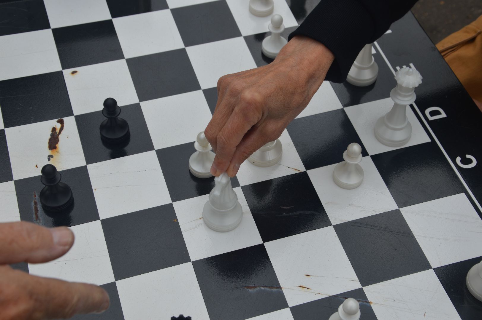 Шатура, парк, шахматы, Активное долголетие