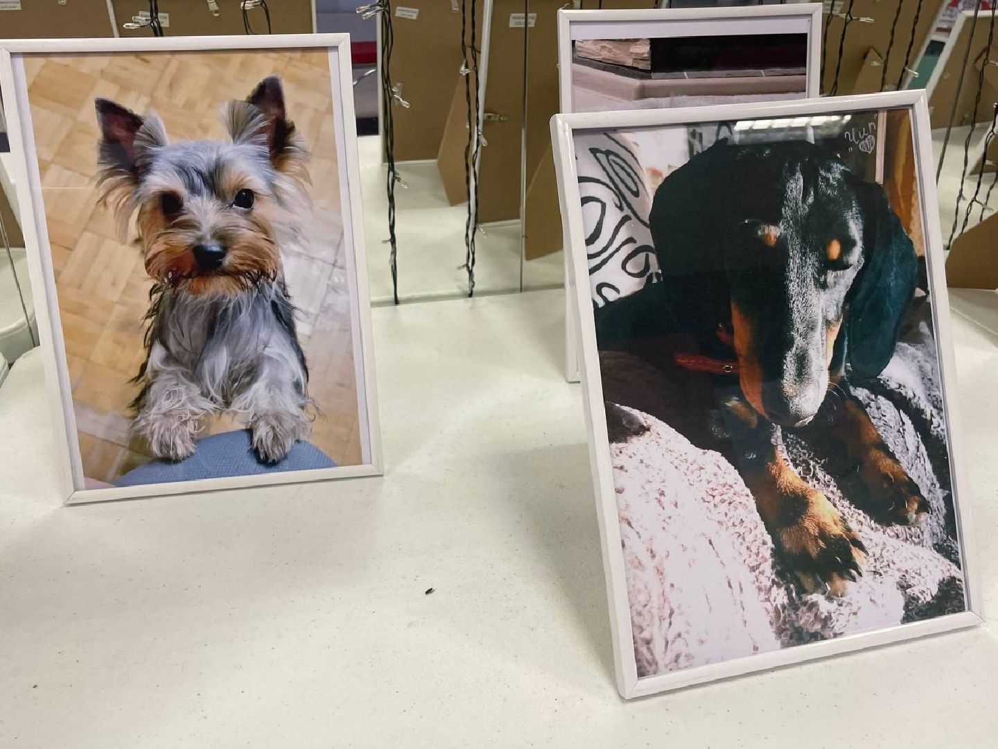 Коломна, культура, общество