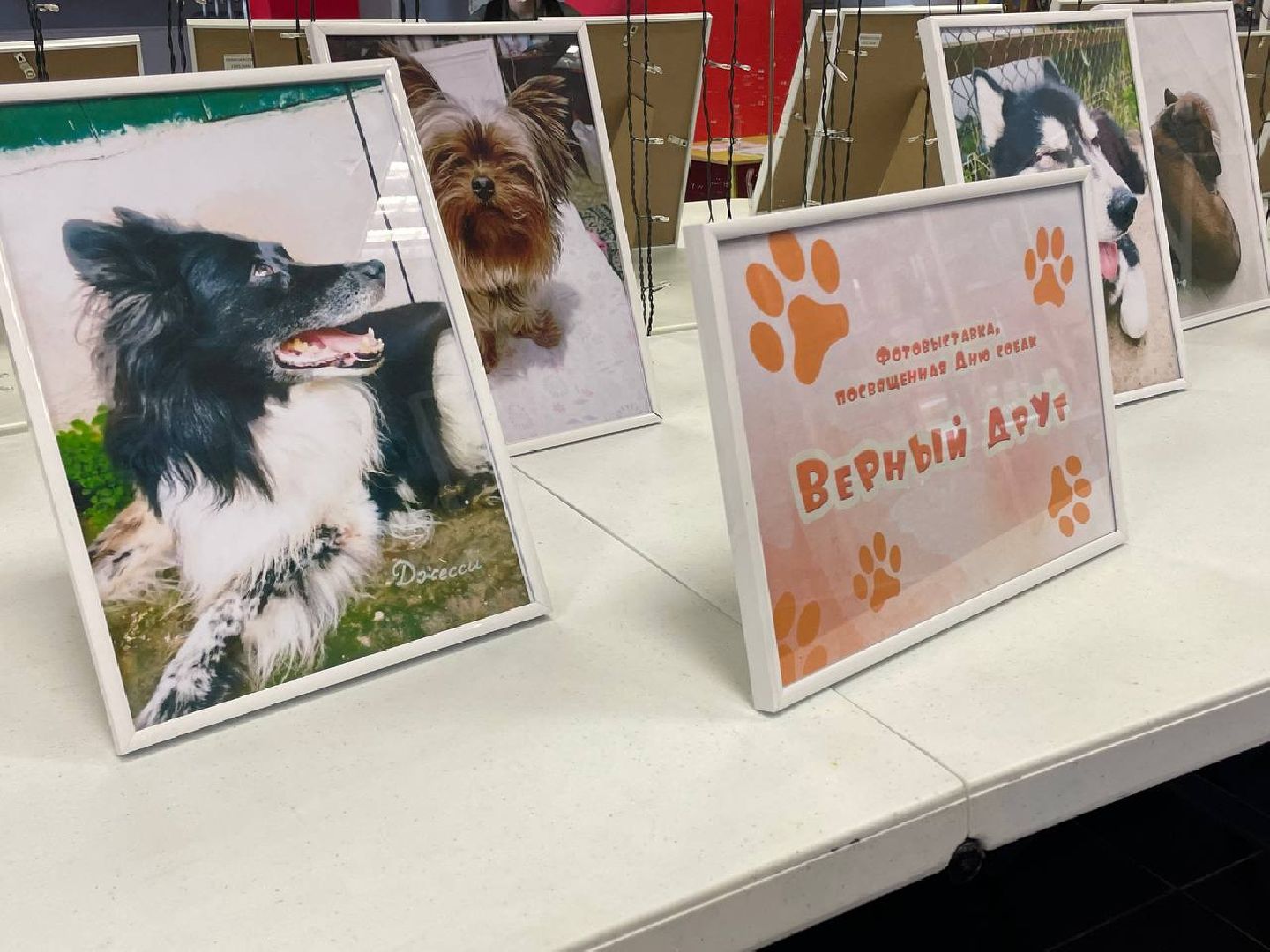 Коломна, культура, общество