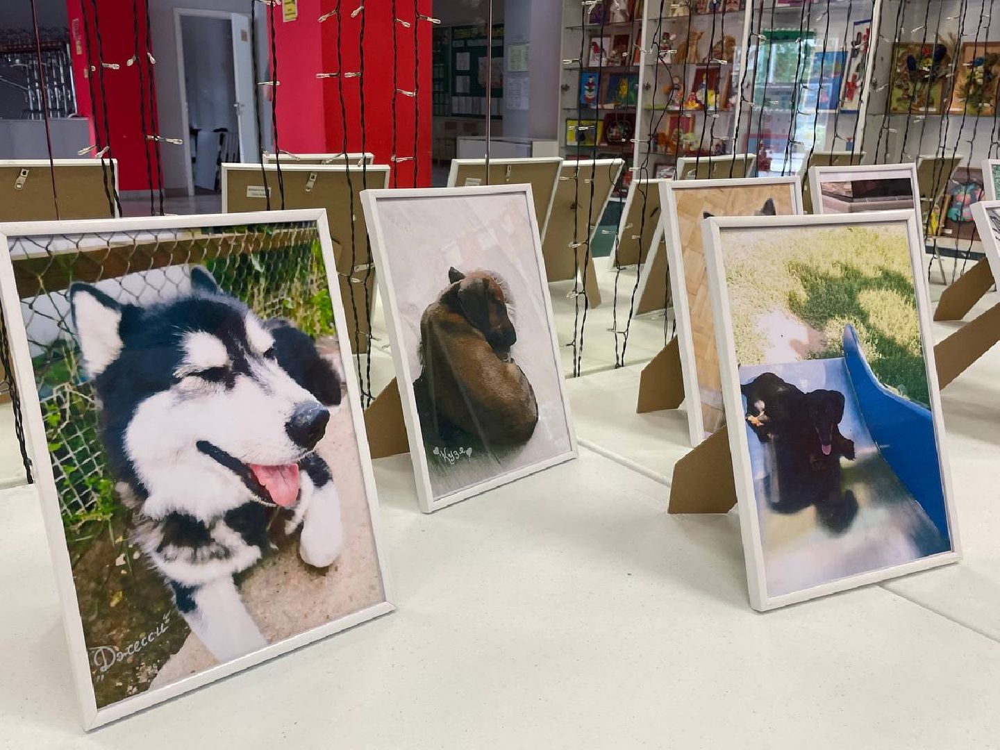 Коломна, культура, общество